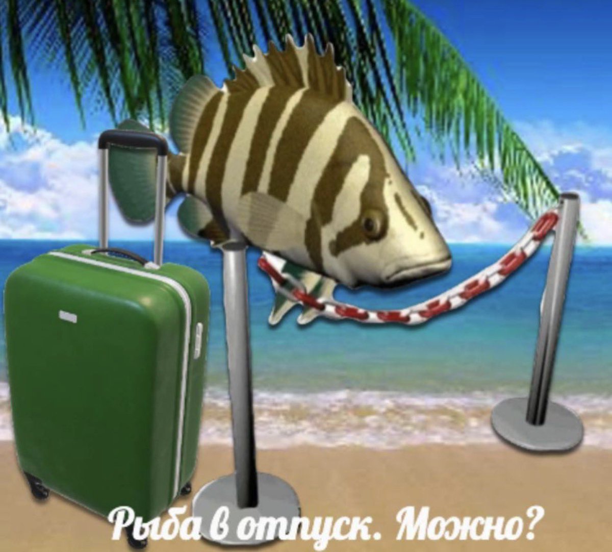 даша бильвизз tweet media