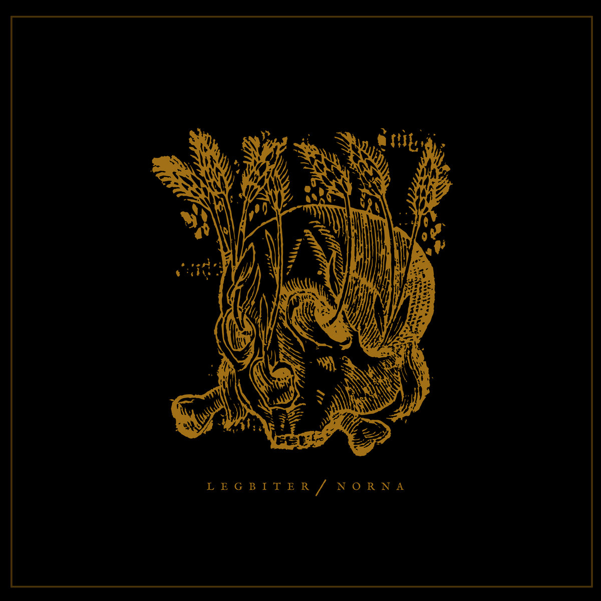 Metal_Epidemic's tweet image. 🔥ALBUM REVIEW🔥

Check out our review of the new split release from Sweden’s Norna and Legbiter! The split will be released on March 20th via Pelagic Records.

metalepidemic.com/norna-legbiter…

#PostMetal #Sludge #Noise #Shoegaze