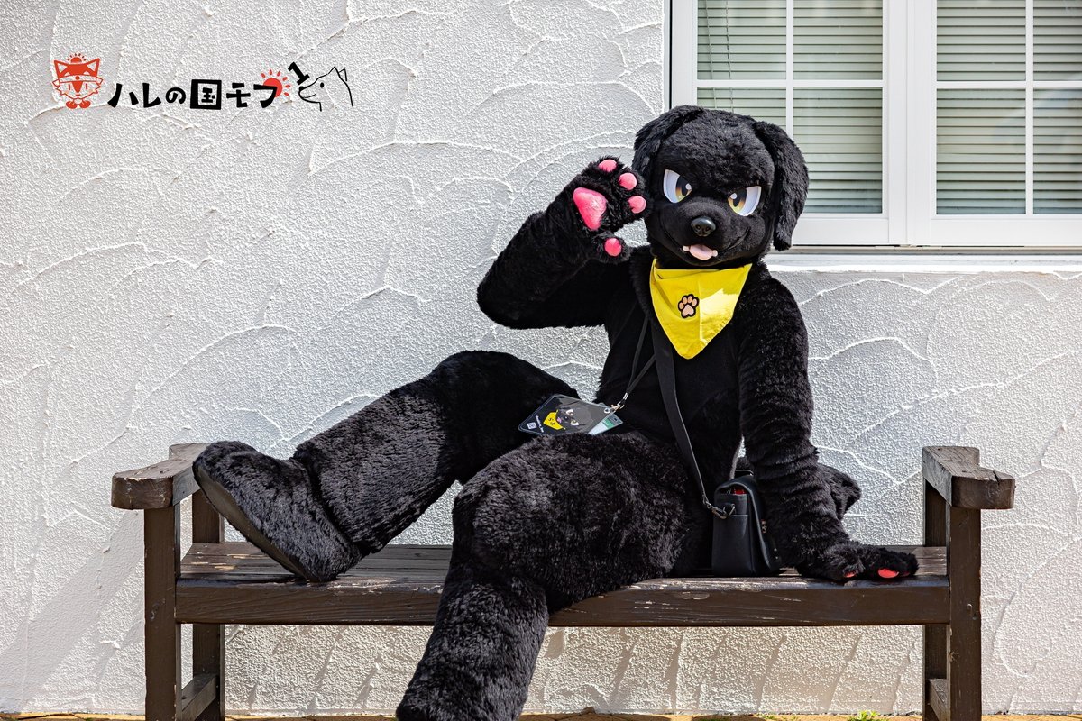 黒ラブのらぶ tweet media