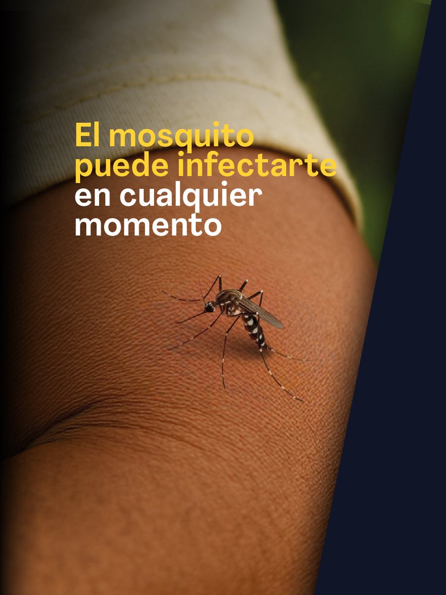 MinSalud Colombia 🇨🇴 tweet media