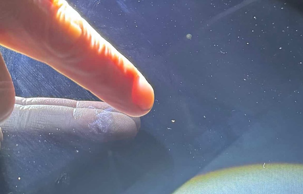 ふみ☔️ tweet media