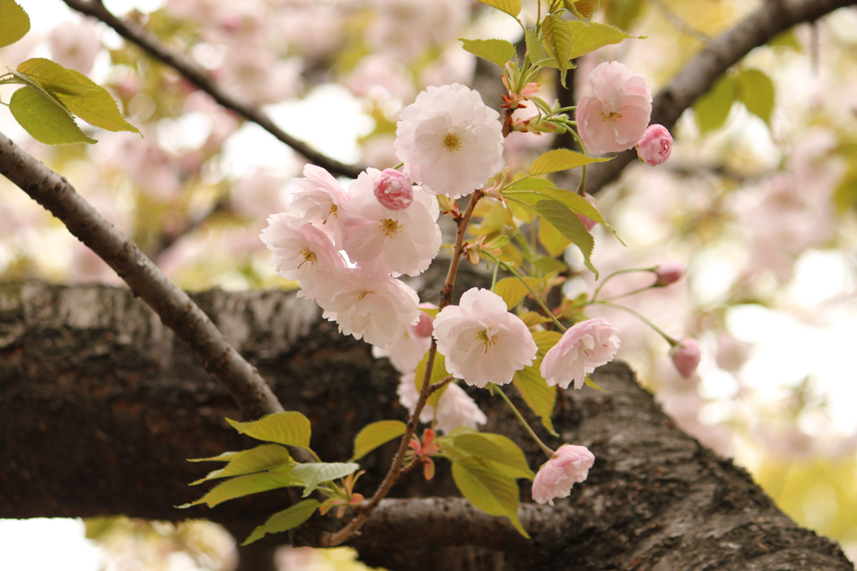 Jennifer Thomas tweet media