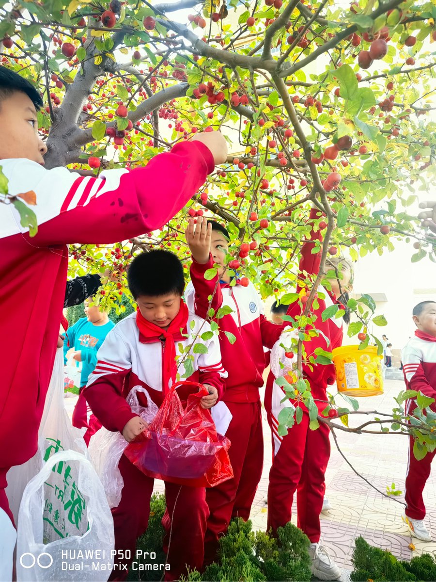 Sarowarrudro tweet media