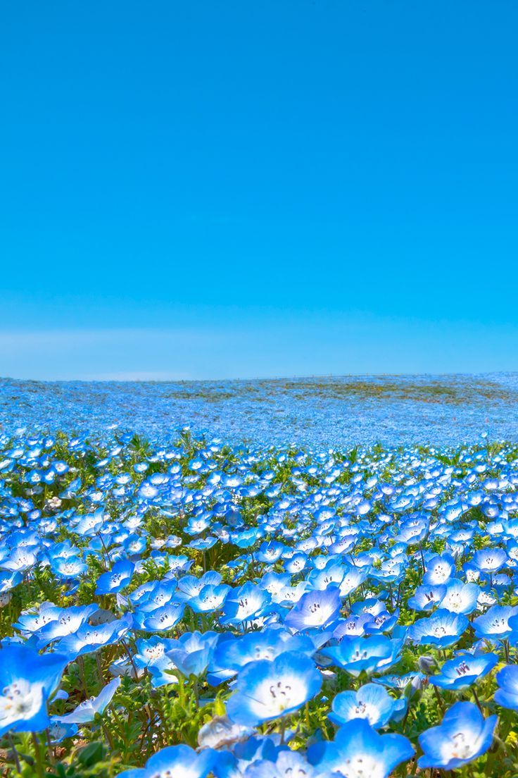 りゅう tweet media