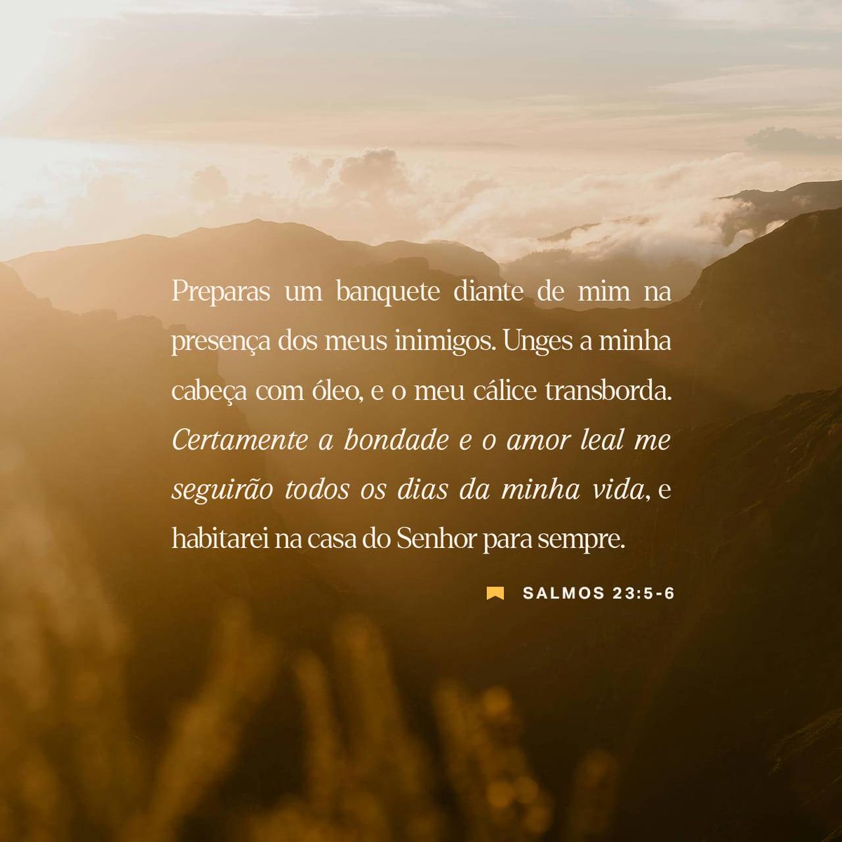 ElninoAdler tweet media