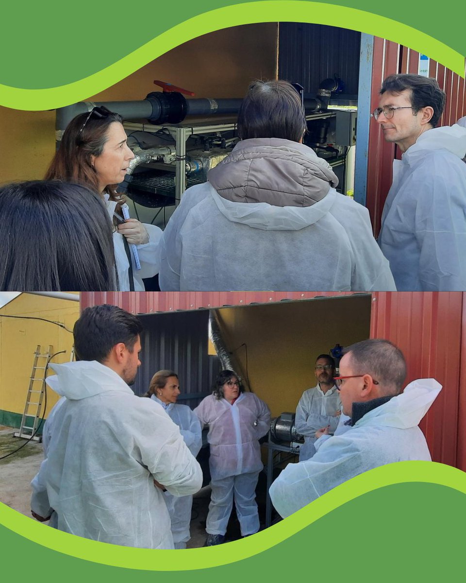 greenammonia_eu's tweet photo. 📍 Segovia ha acogido la 3ª visita de monitorización de LIFE Green Ammonia (11-12 marzo)

Un paso clave para evaluar avances en la reducción de emisiones de NH₃ en ganadería 👇

🌐 https://t.co/yxWoxaw199

#LIFEGreenAmmonia #Sostenibilidad https://t.co/GAfLqiIOLx