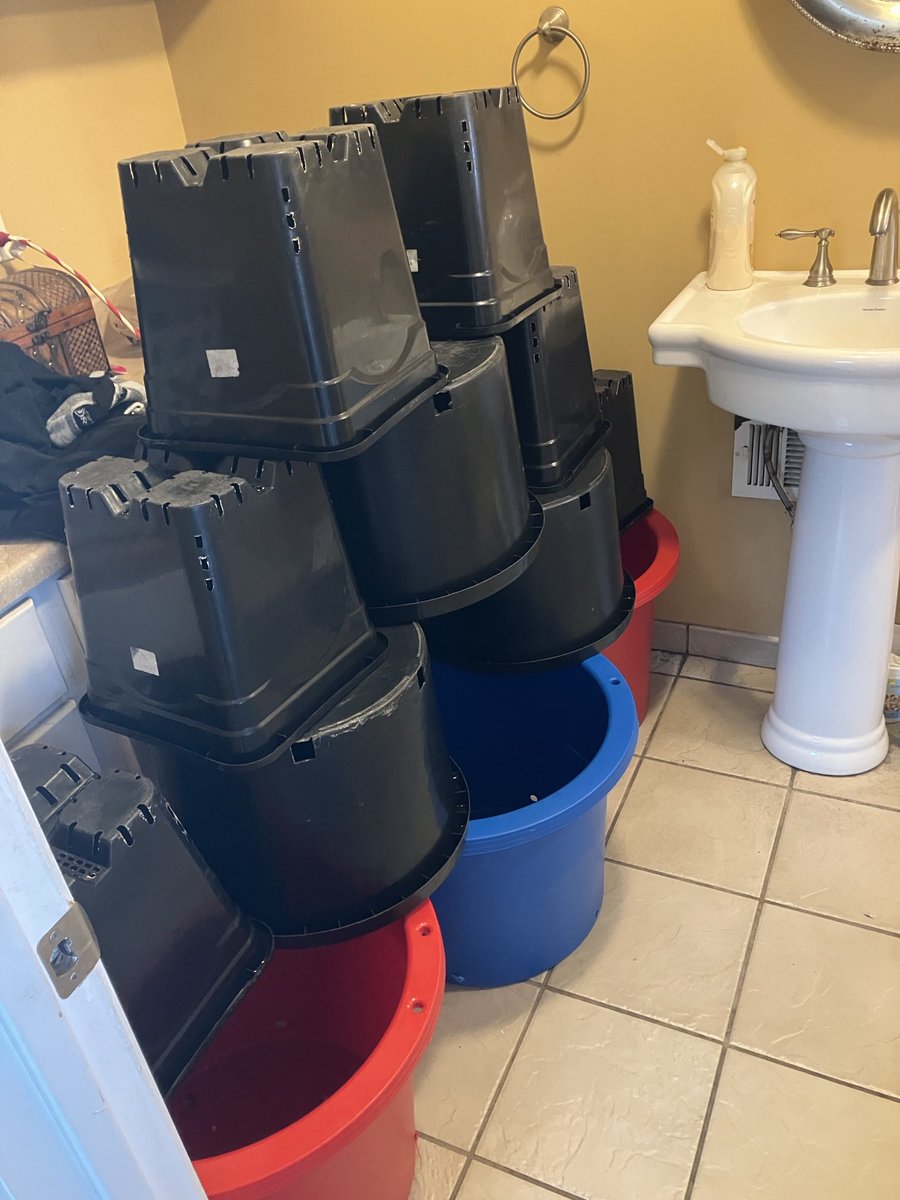 stinky hippie 🦨 tweet media