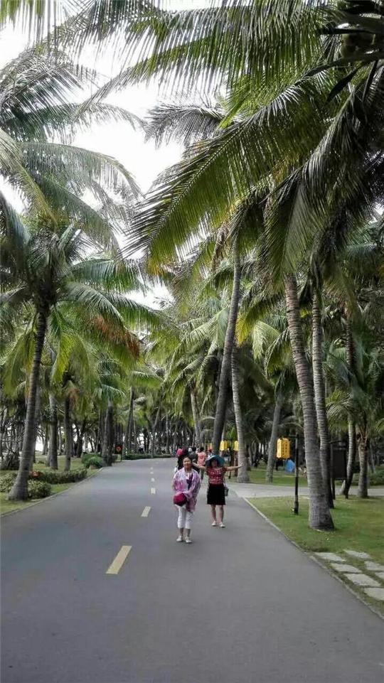 luciano mendez tweet media