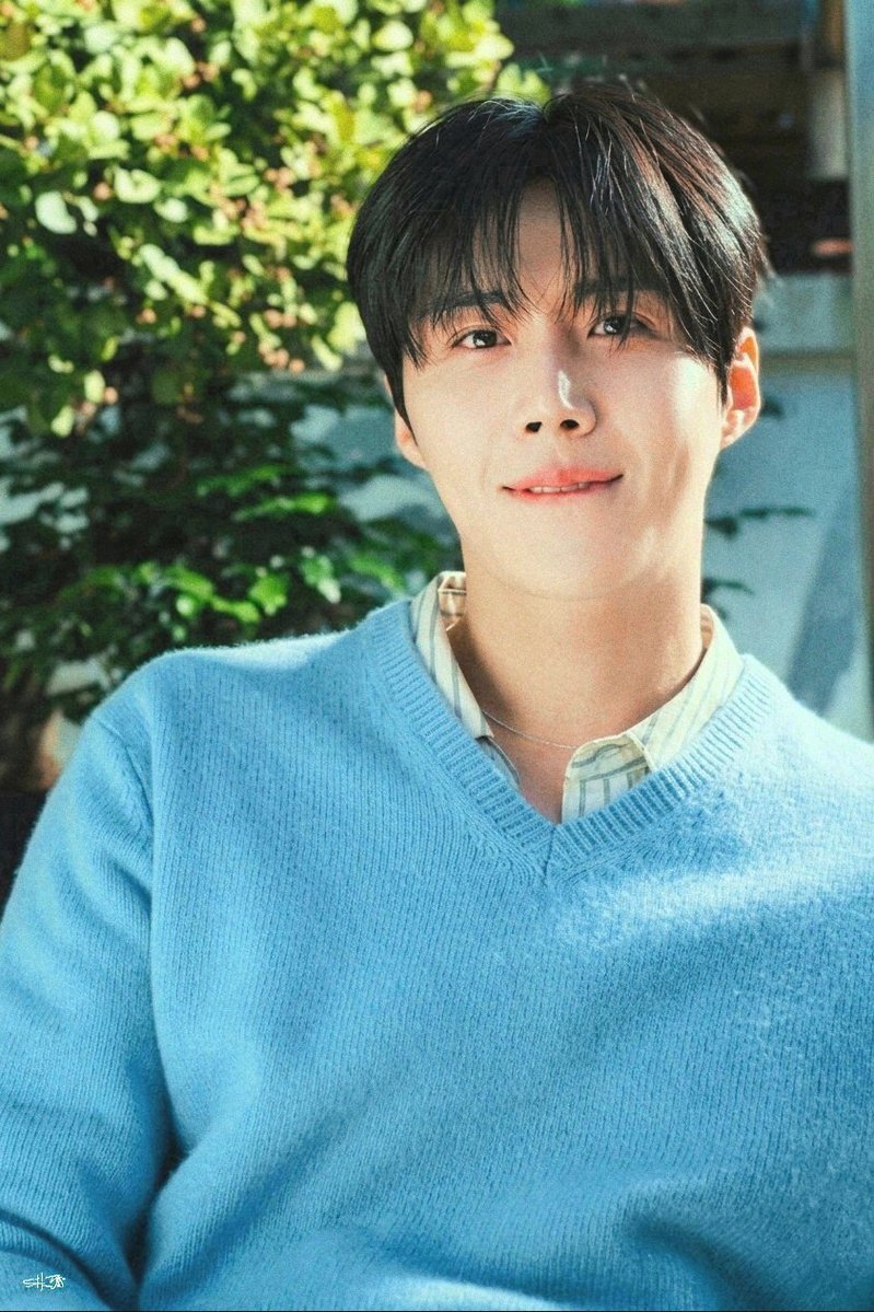 선호 아카이브 tweet media