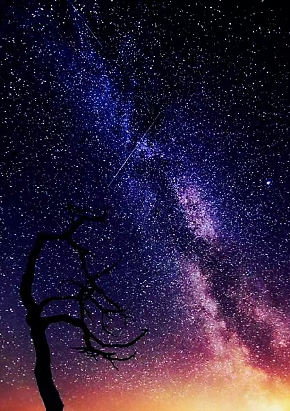 Charles Cullinane tweet media