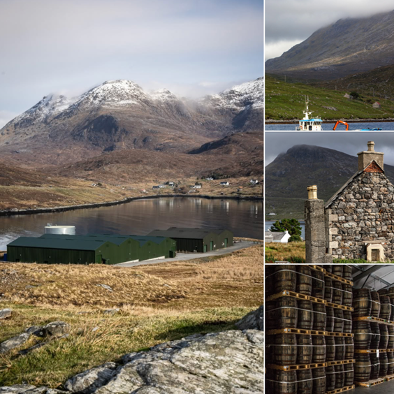 Whisky Intelligence tweet media