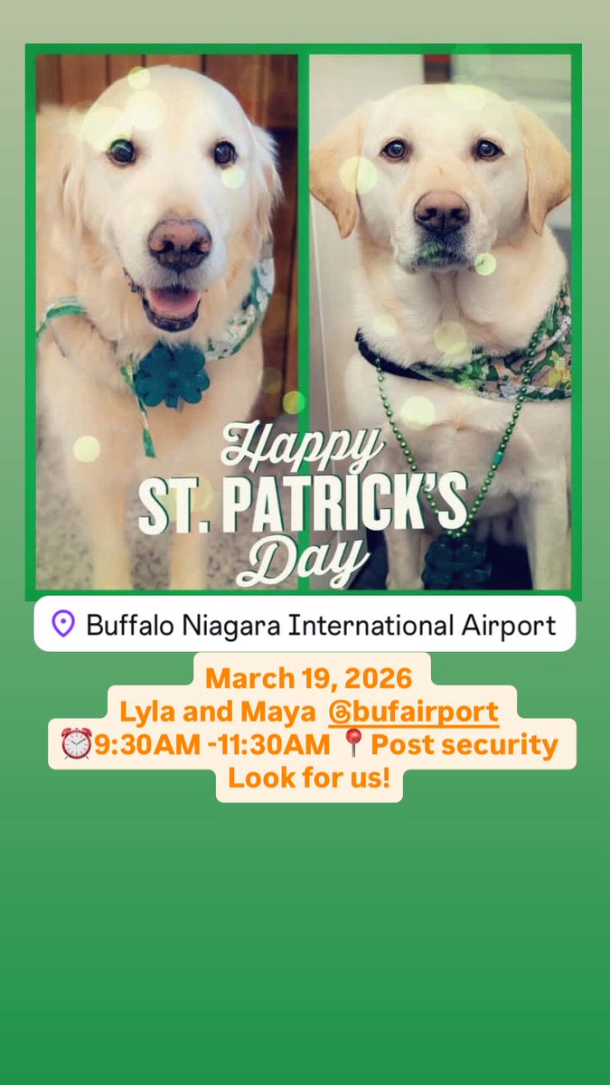 Airport Therapy Dogs tweet media