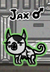 luxangeli tweet media