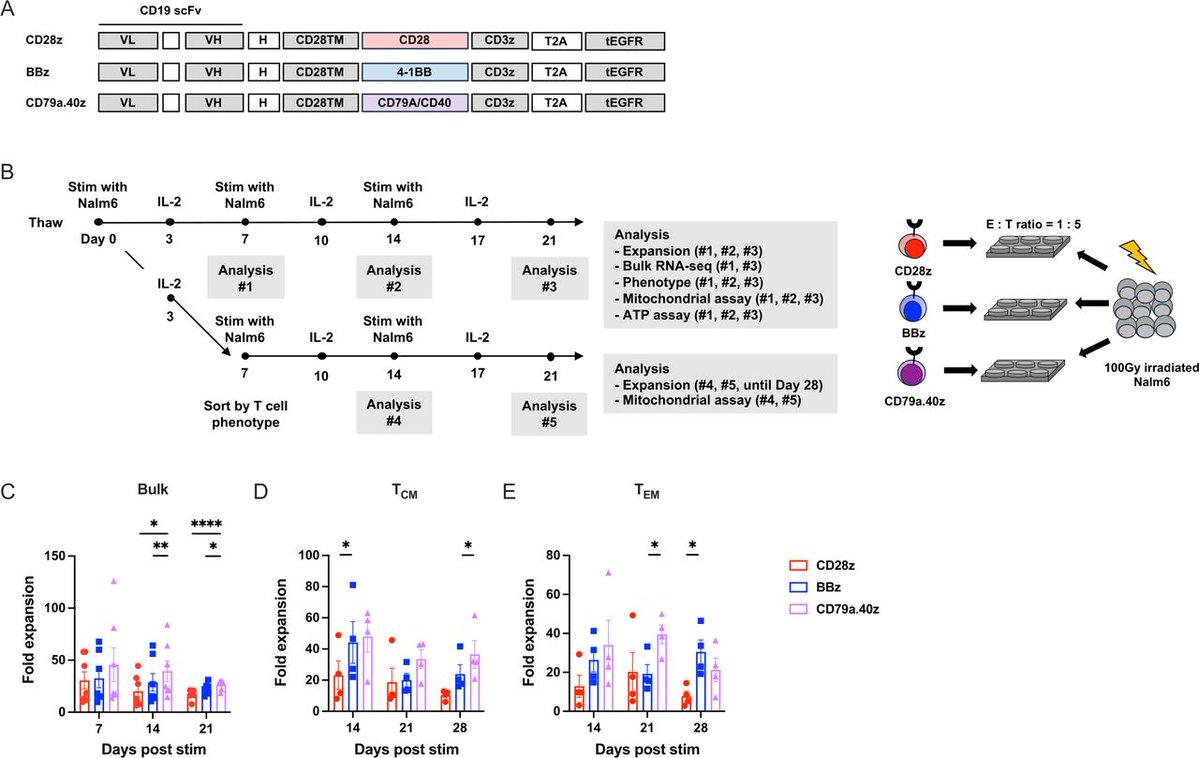 Journal for ImmunoTherapy of Cancer tweet media
