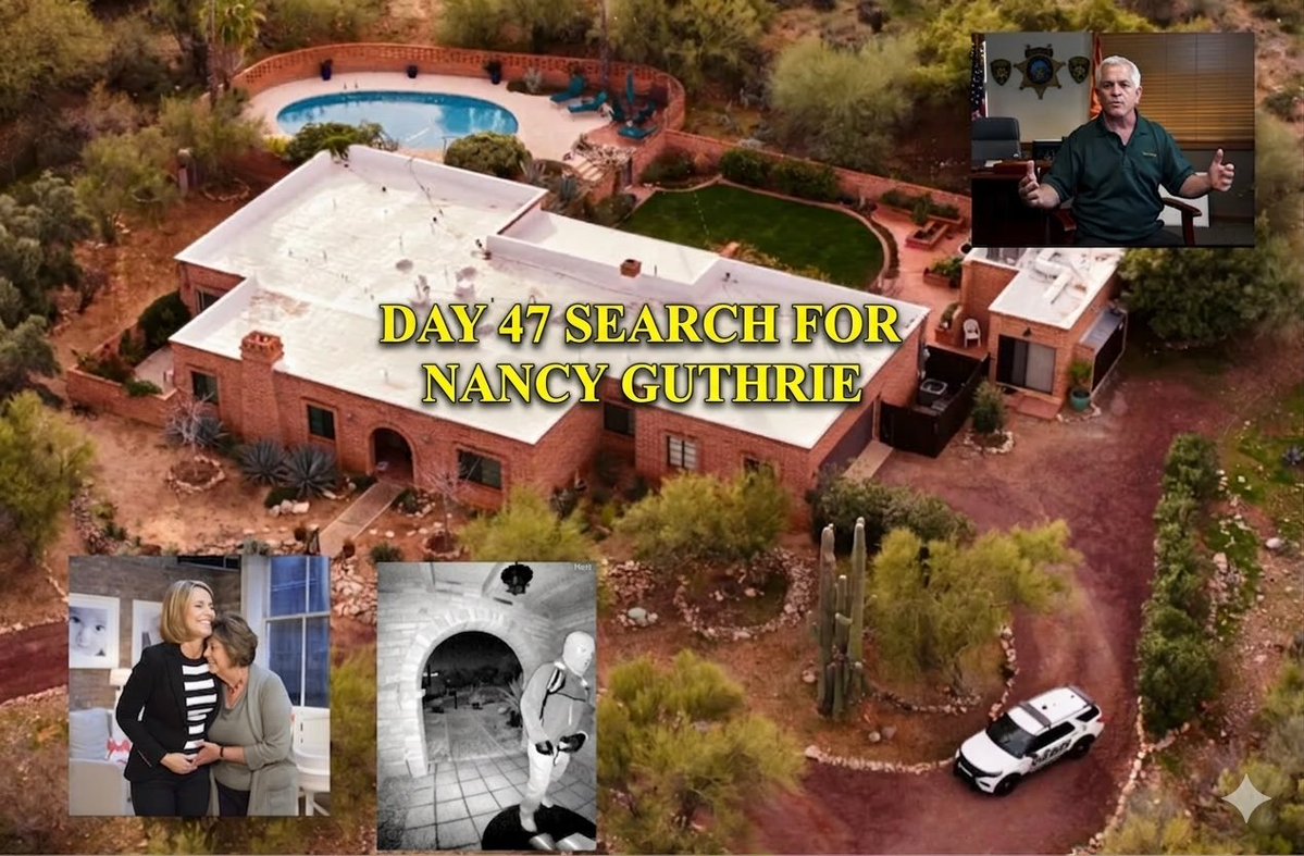 John DePetro Show tweet media