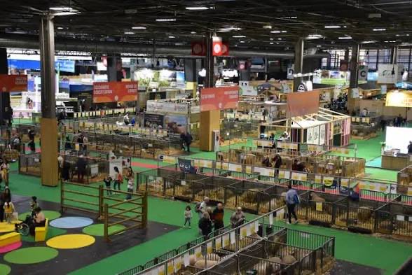 Arnaud Lemoine tweet media