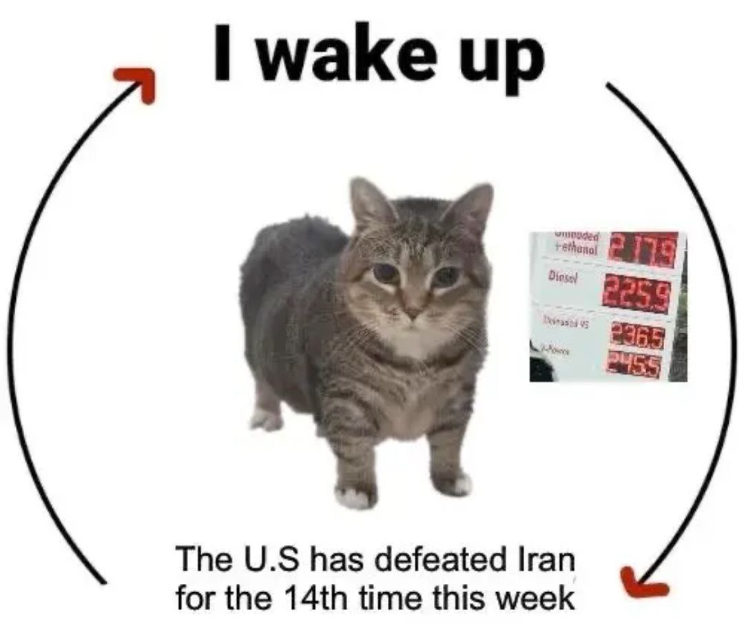 Uhuru Worldwide tweet media