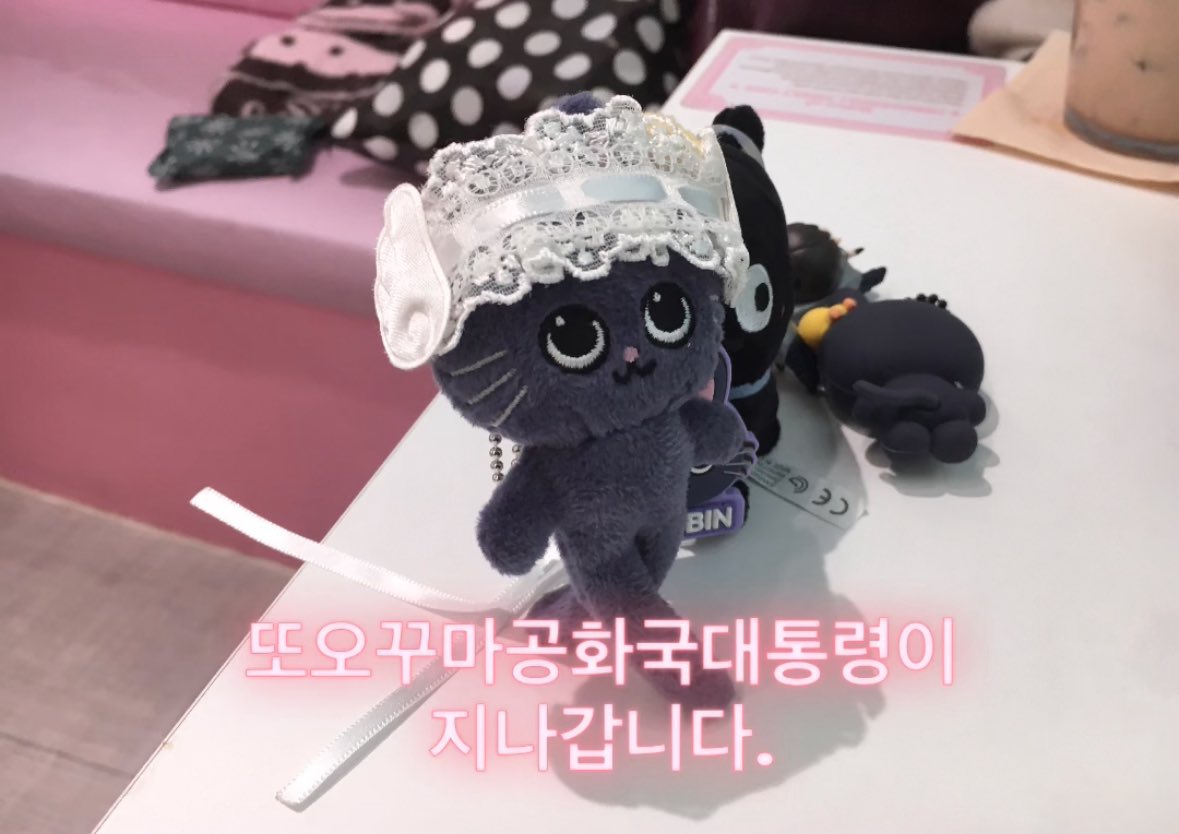 뽀용 tweet media