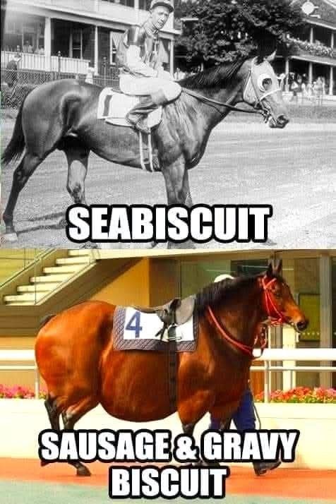 Austin Capps tweet media