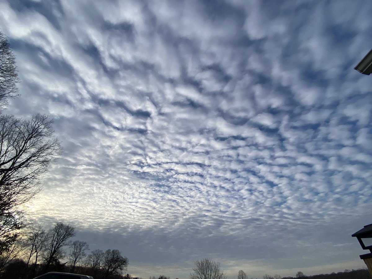 Springtucky tweet media