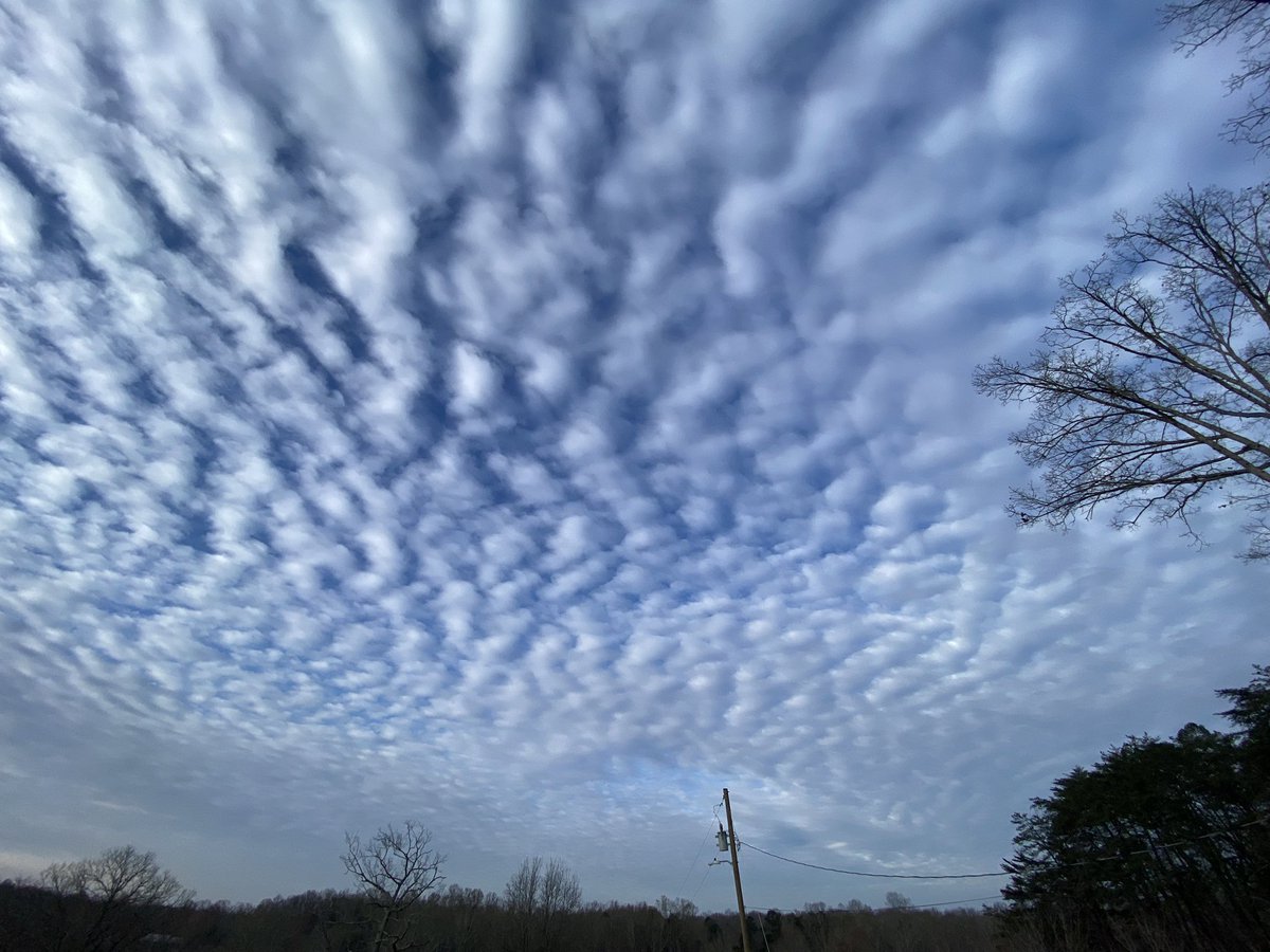 Springtucky tweet media