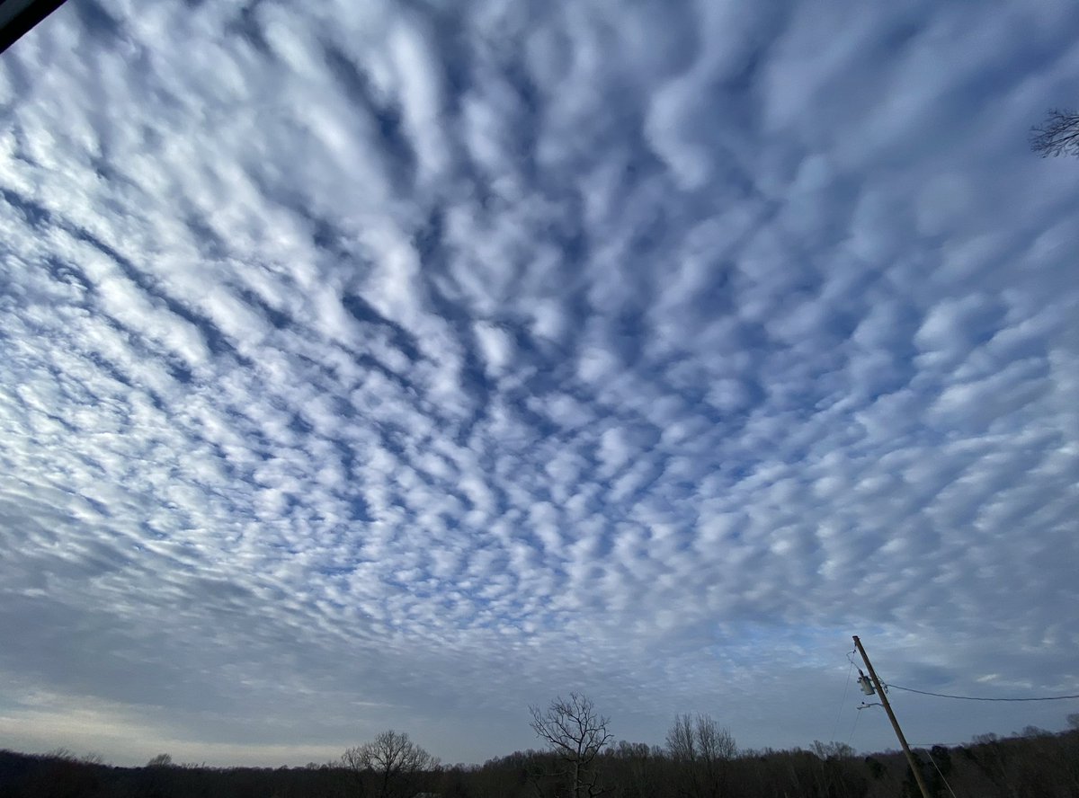 Springtucky tweet media