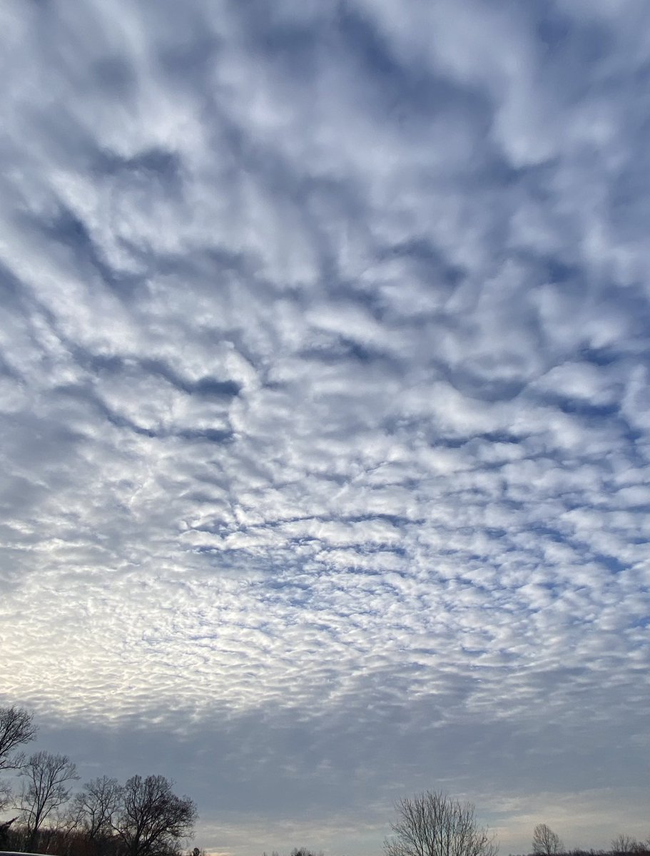 Springtucky tweet media