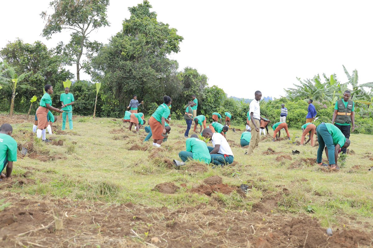 JamesThembo_'s tweet photo. Deputy CAO #HillaryAgaba launching the planting during there #InternationalDayOfForests celebrations in Rukungiri https://t.co/g8QGHfrVka