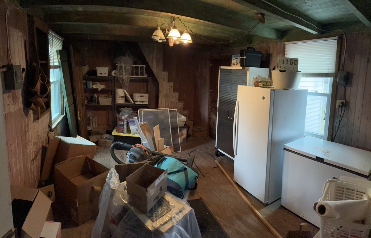 Adam, Anthropocene Megafauna tweet media