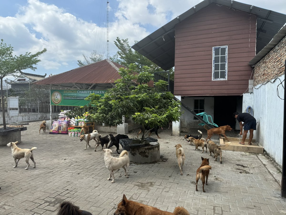 💙Gichu🐳Crypto🦋 tweet media