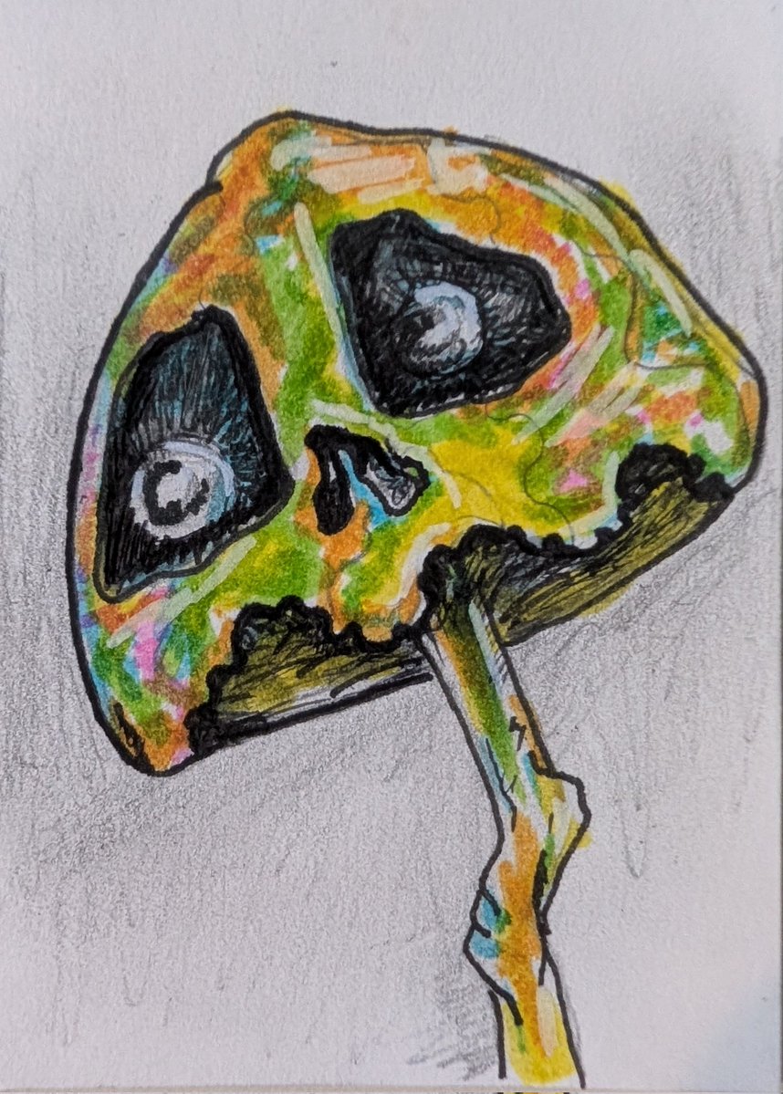 ookaswaka tweet media