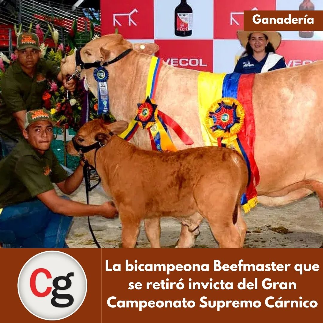 FEDEGAN PAIPA tweet media