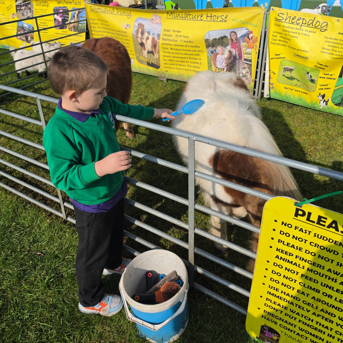 Three Lane Ends Academy tweet media