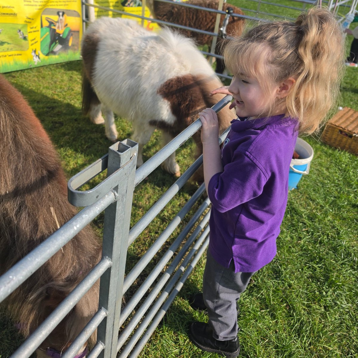 Three Lane Ends Academy tweet media