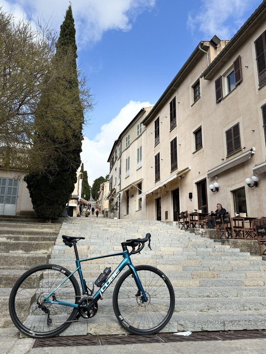 Gänseblume tweet media