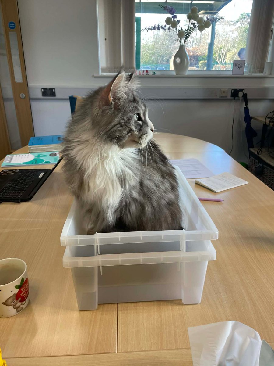 Aloysius O'Hare in memory of Angel Cilla 🌈 tweet media