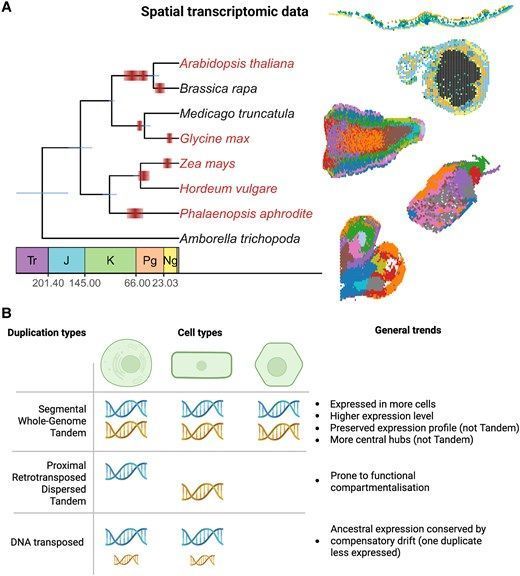 The Plant Cell tweet media