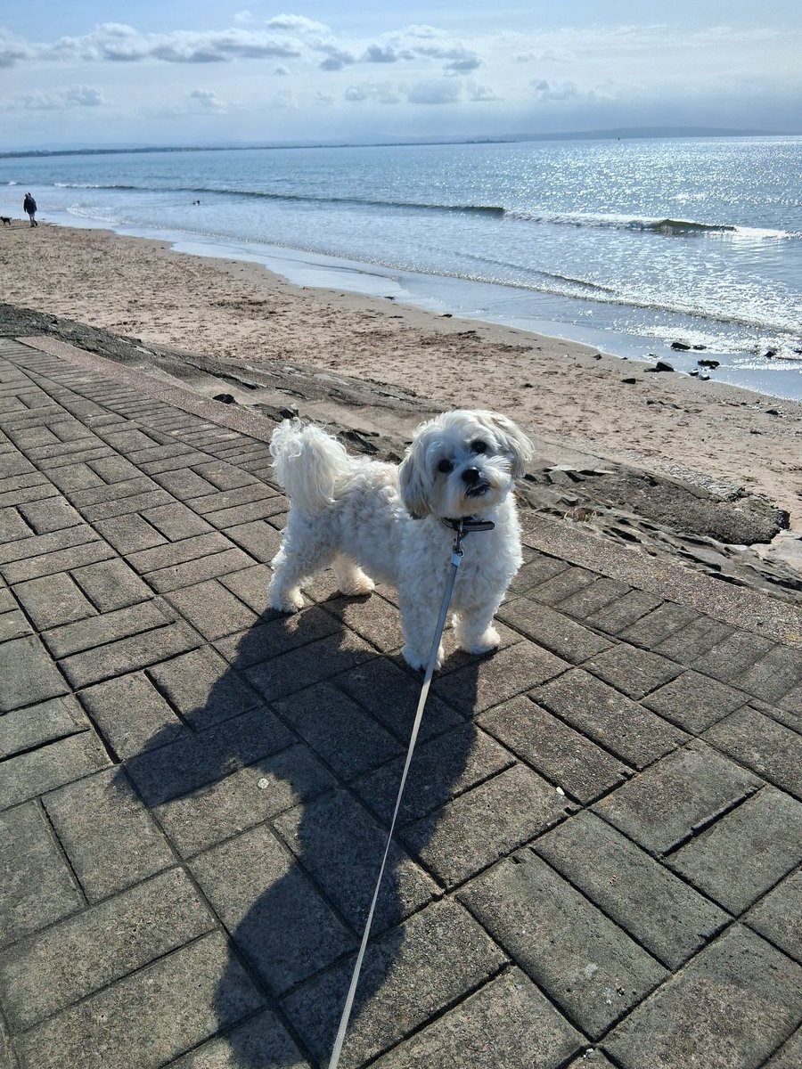 Gerry Taylor Tips tweet media