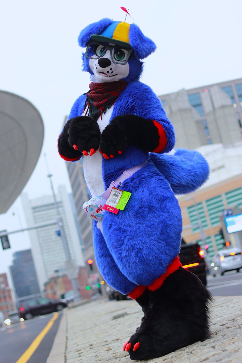 Daz 🐺💜 tweet media