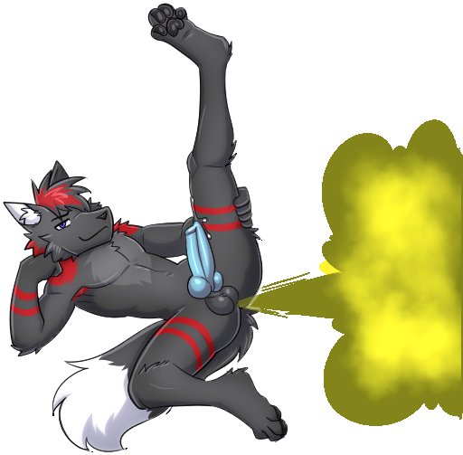 🐺 A Wolf with Gas 💨 tweet media