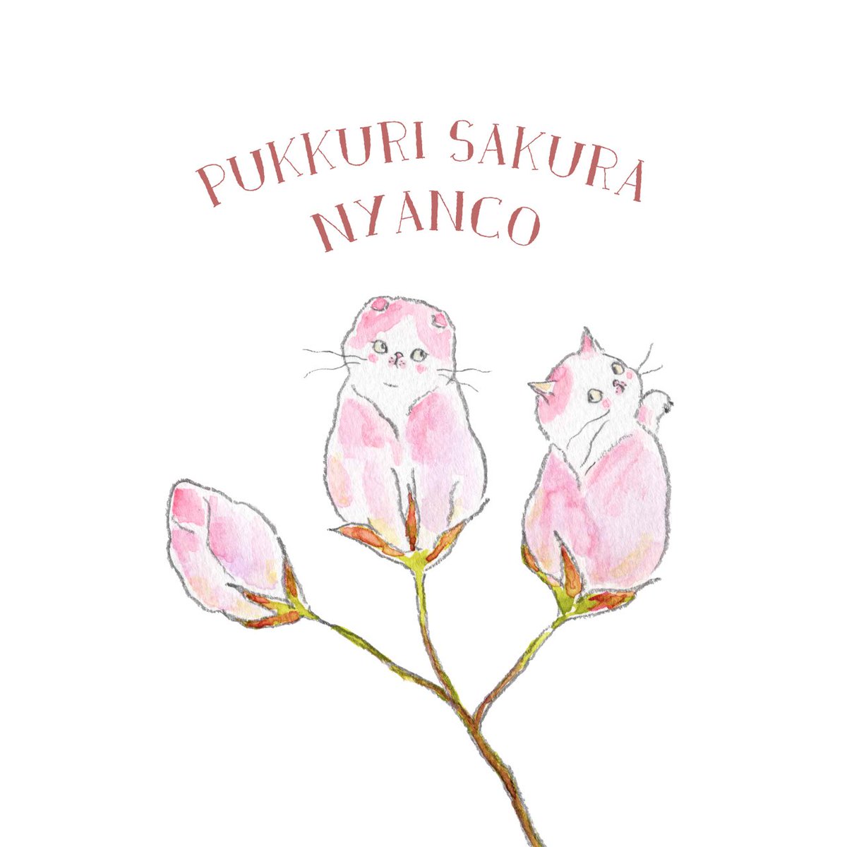 TOCOROCOMUGI トコロコムギ tweet media