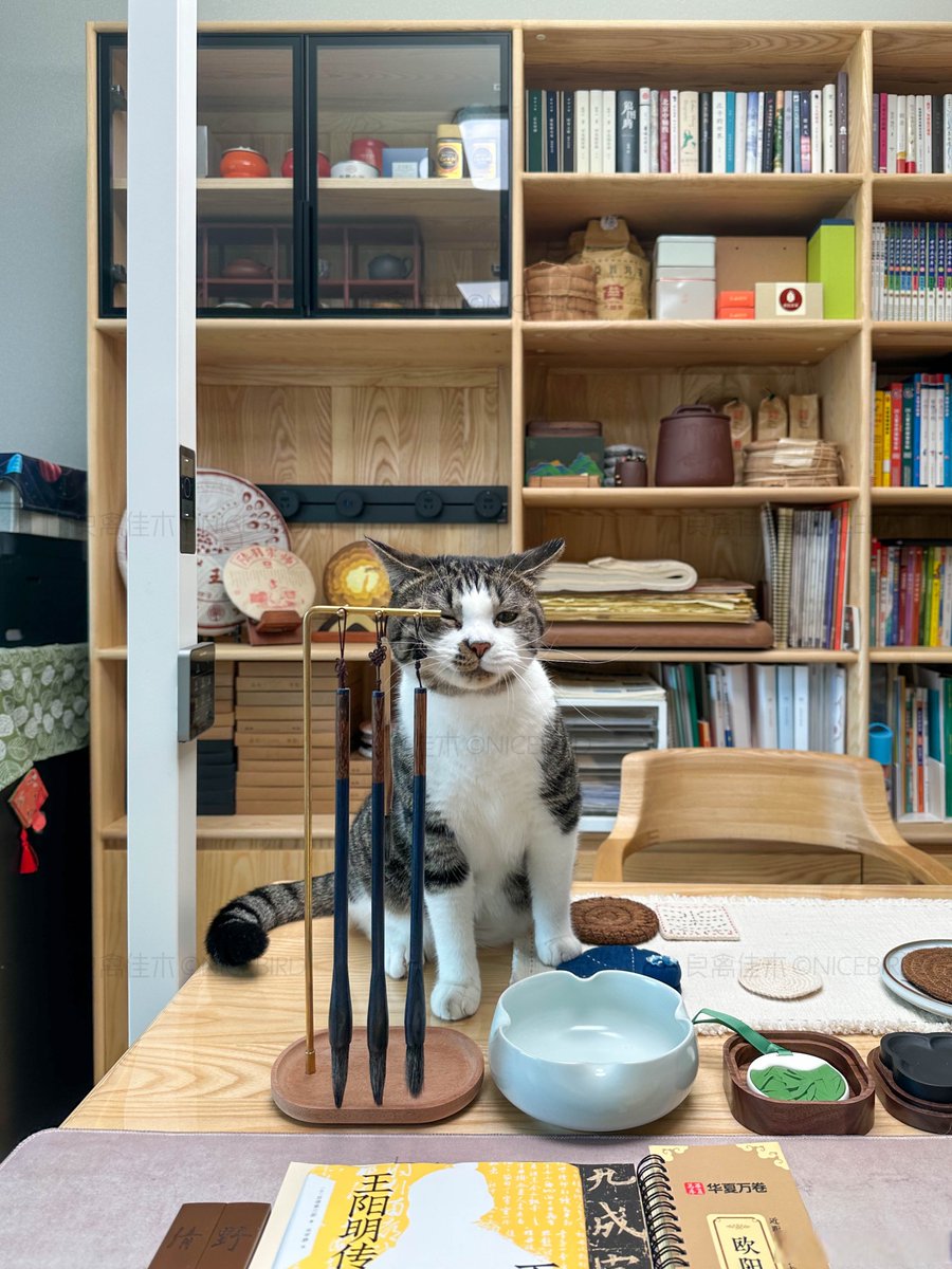 MrsVThomas.PE tweet media