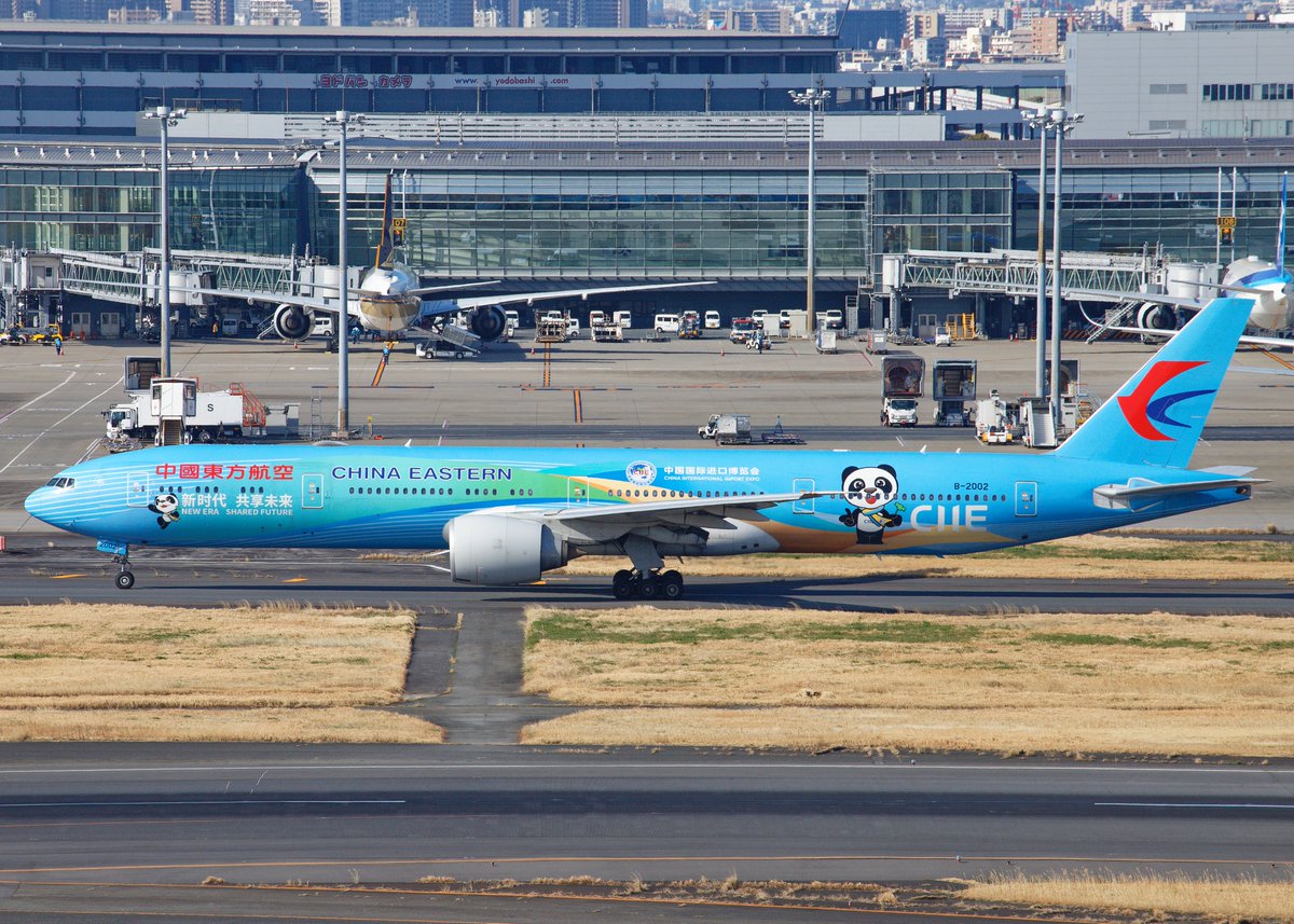 てつもん 写真館 tweet media