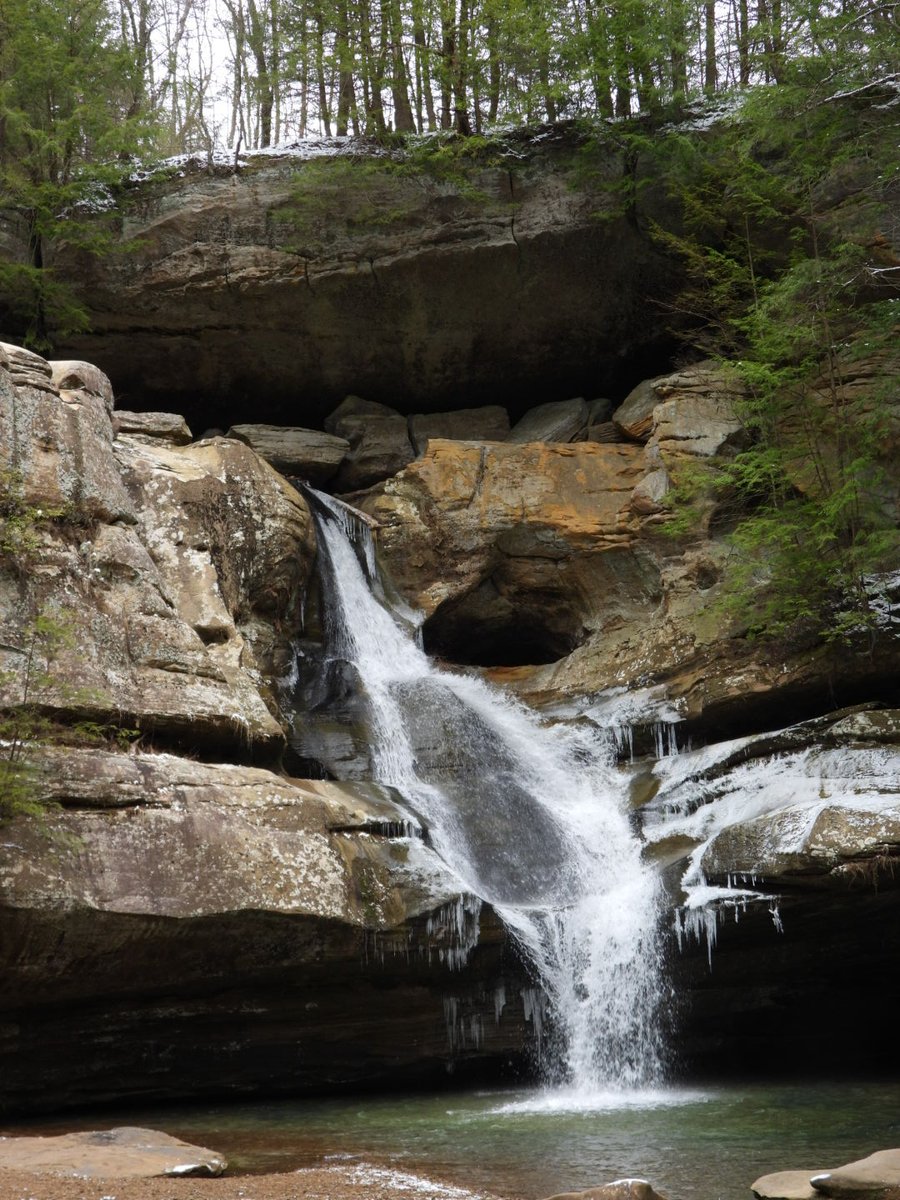 Solar Queen/ Music Fiend tweet media