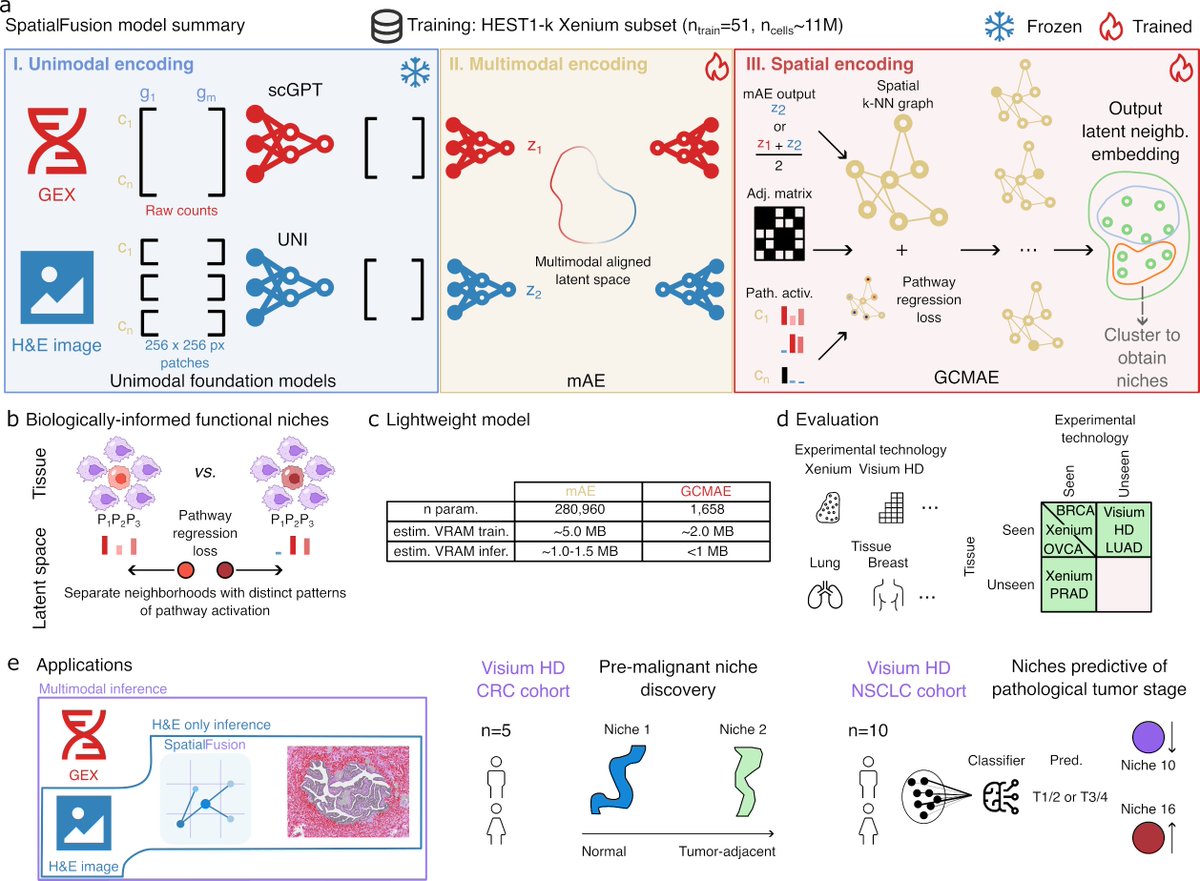 Josephine Yates tweet media