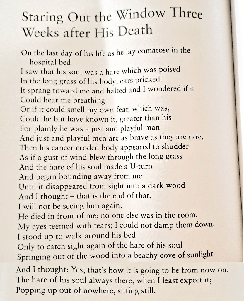 Cian McCarthy tweet media