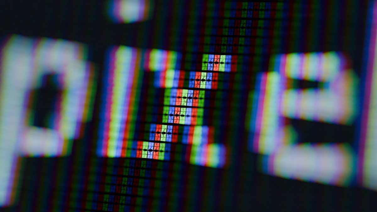 David Gruwier tweet media