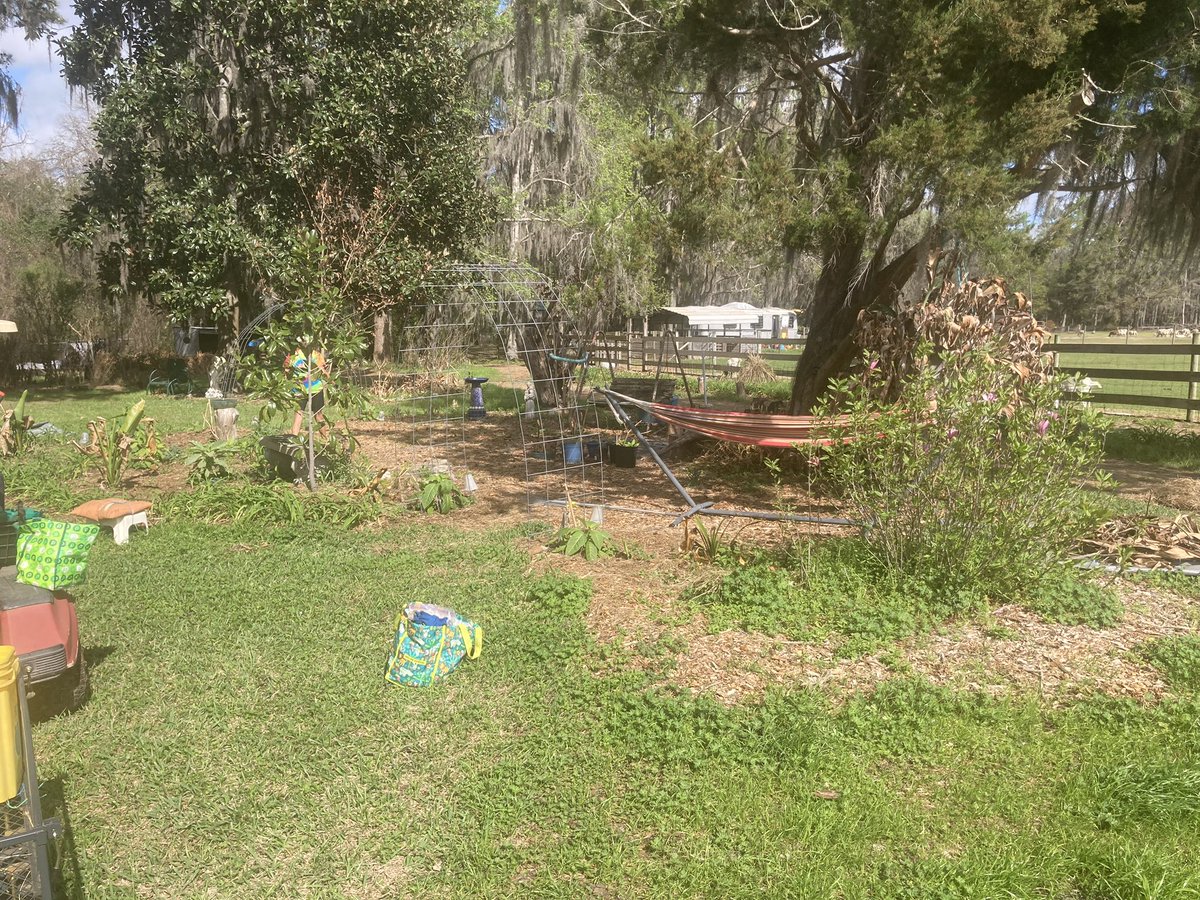 Rodney Smith Jr tweet media