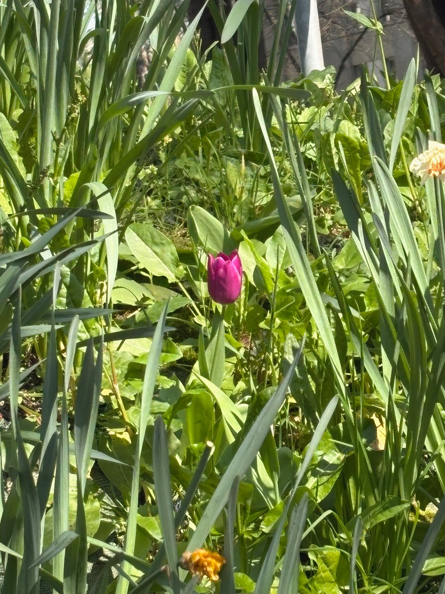 𝓒𝓪𝓹𝓾𝓬𝓲𝓷𝓮 🌌 tweet media