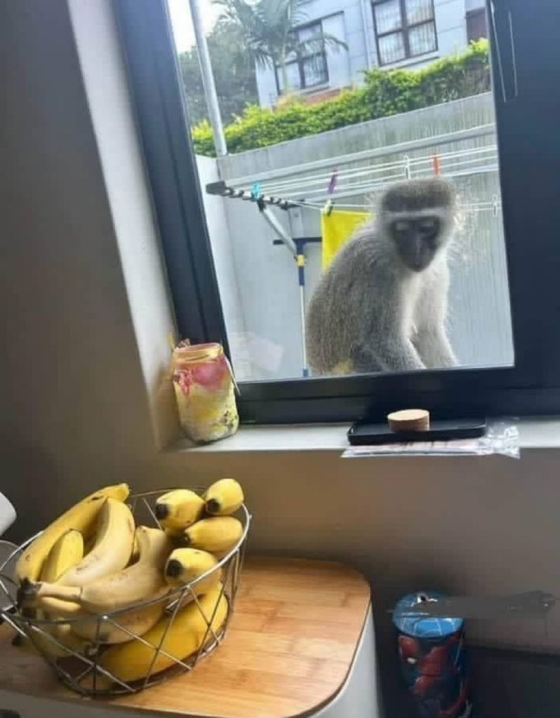 Richmalume tweet media